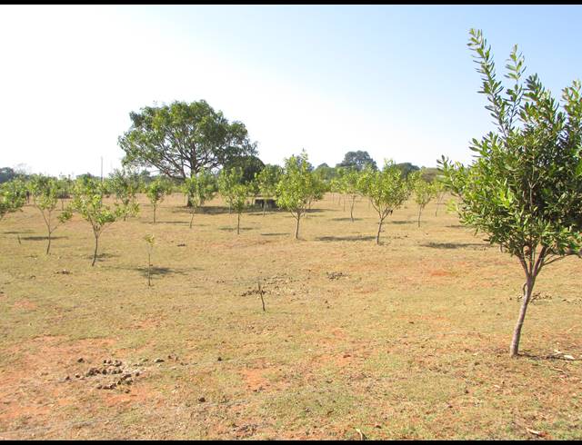 6HA SMALLHOLDING FOR SALE IN WHITE RIVER ESTATES